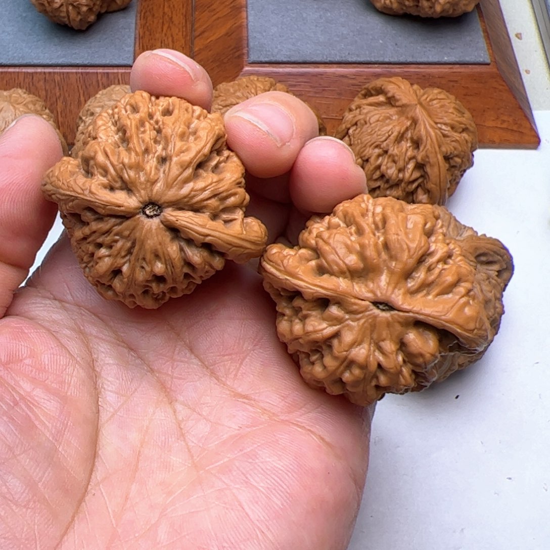 文玩核桃把件金公子40红