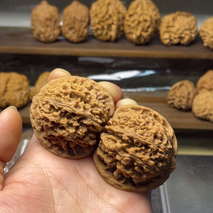 核桃满天星全品44.42.40