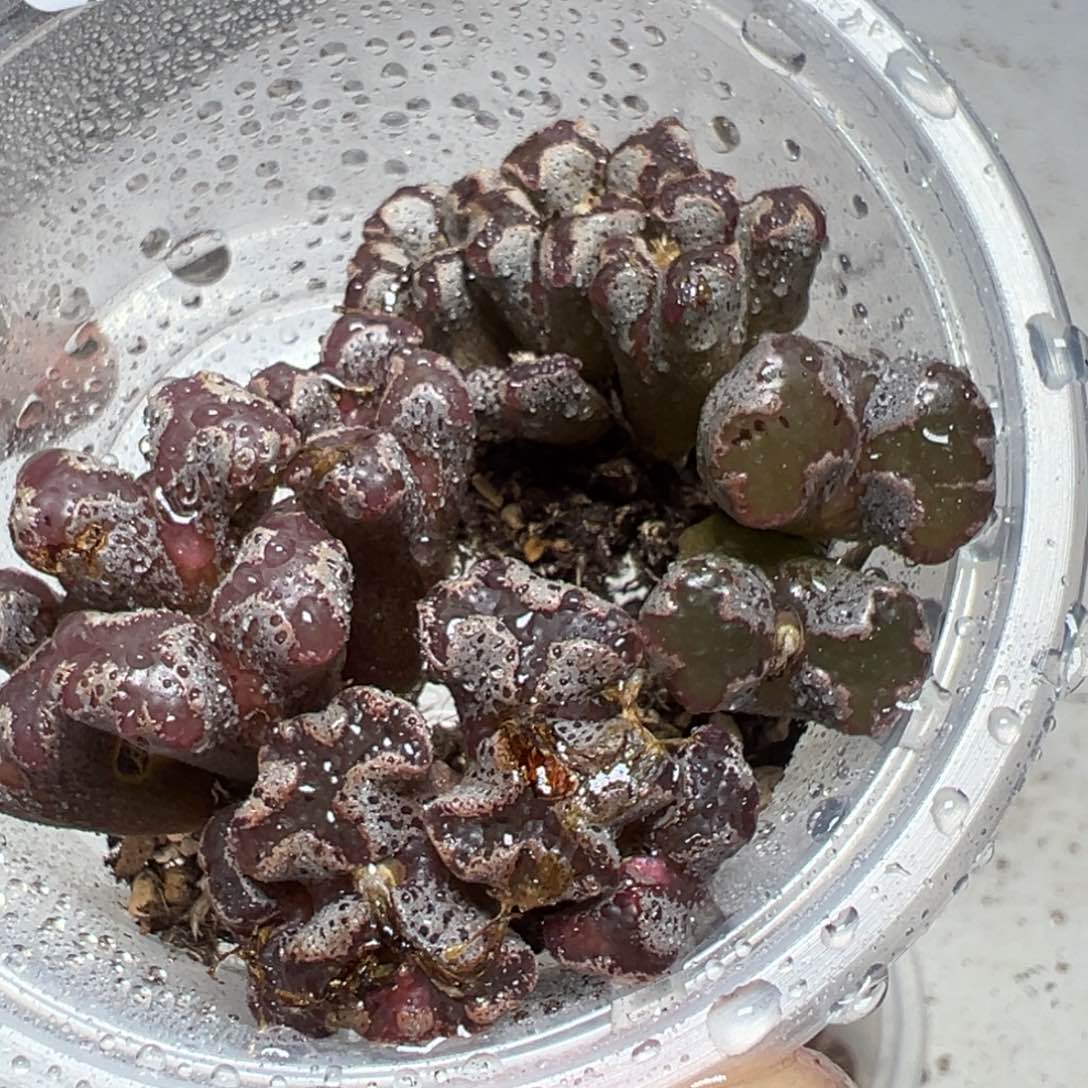 【闪购商品】 354。    