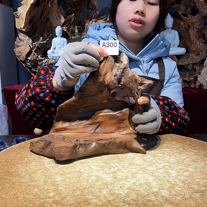 樱*300株木随行的小根艺