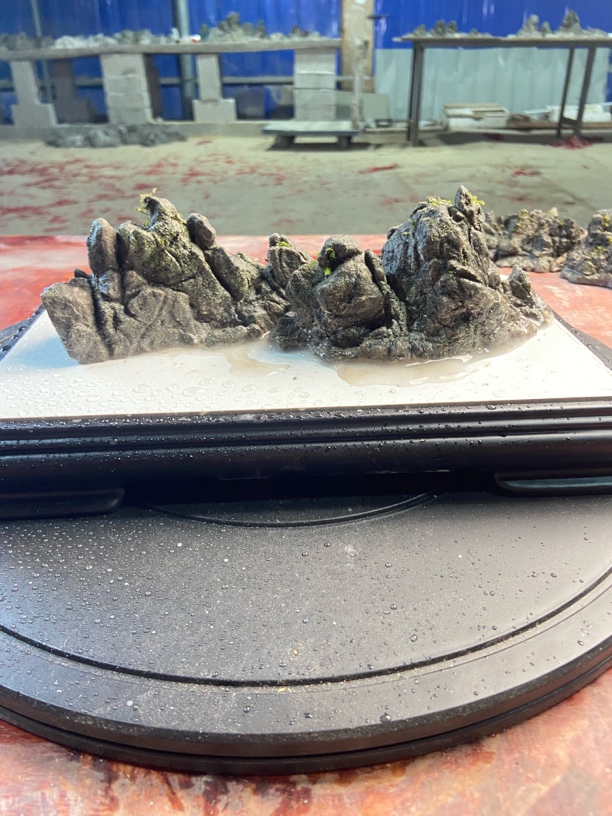 广西龟纹石 山水盆景