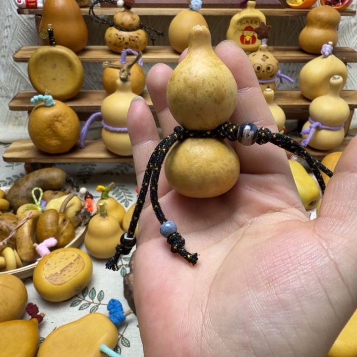 奶牛花陨石坑绕指柔