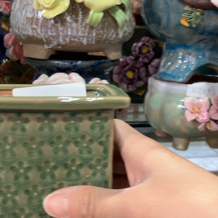 【闪购商品】红陶福利