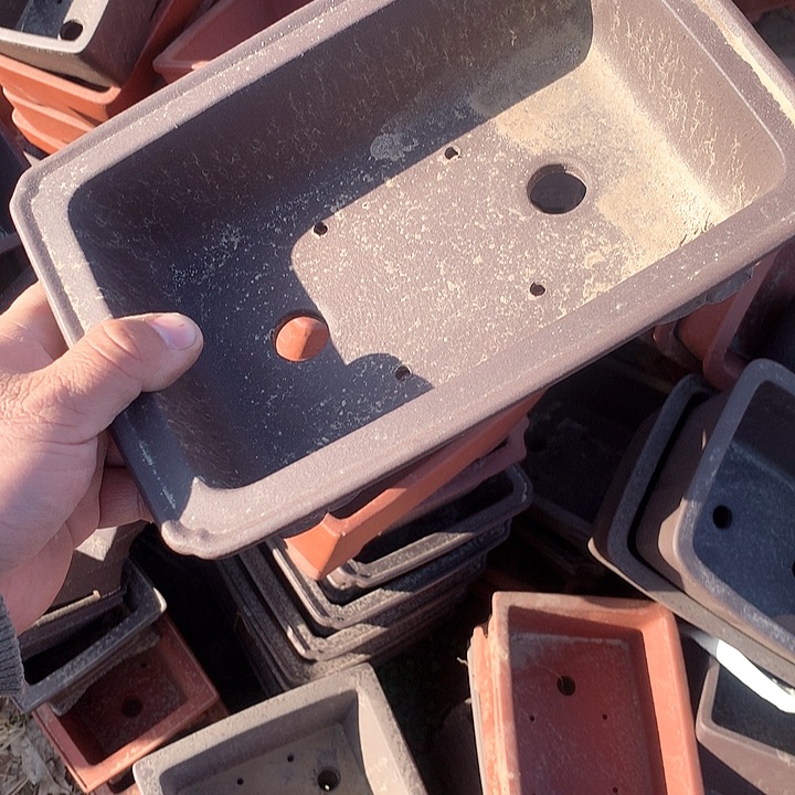 紫砂哈哈真的超级可爱哈哈哈哈哈、