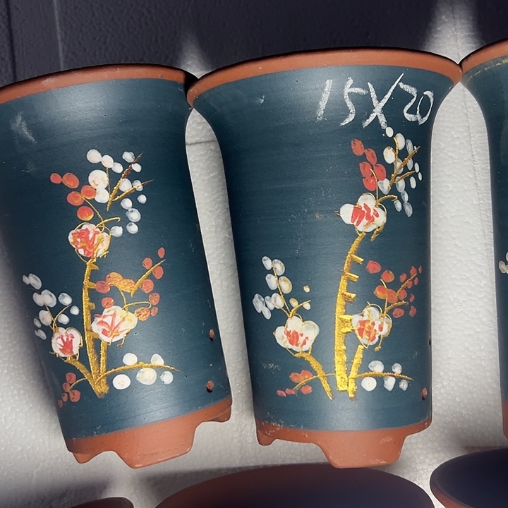 真实真实真实学生 