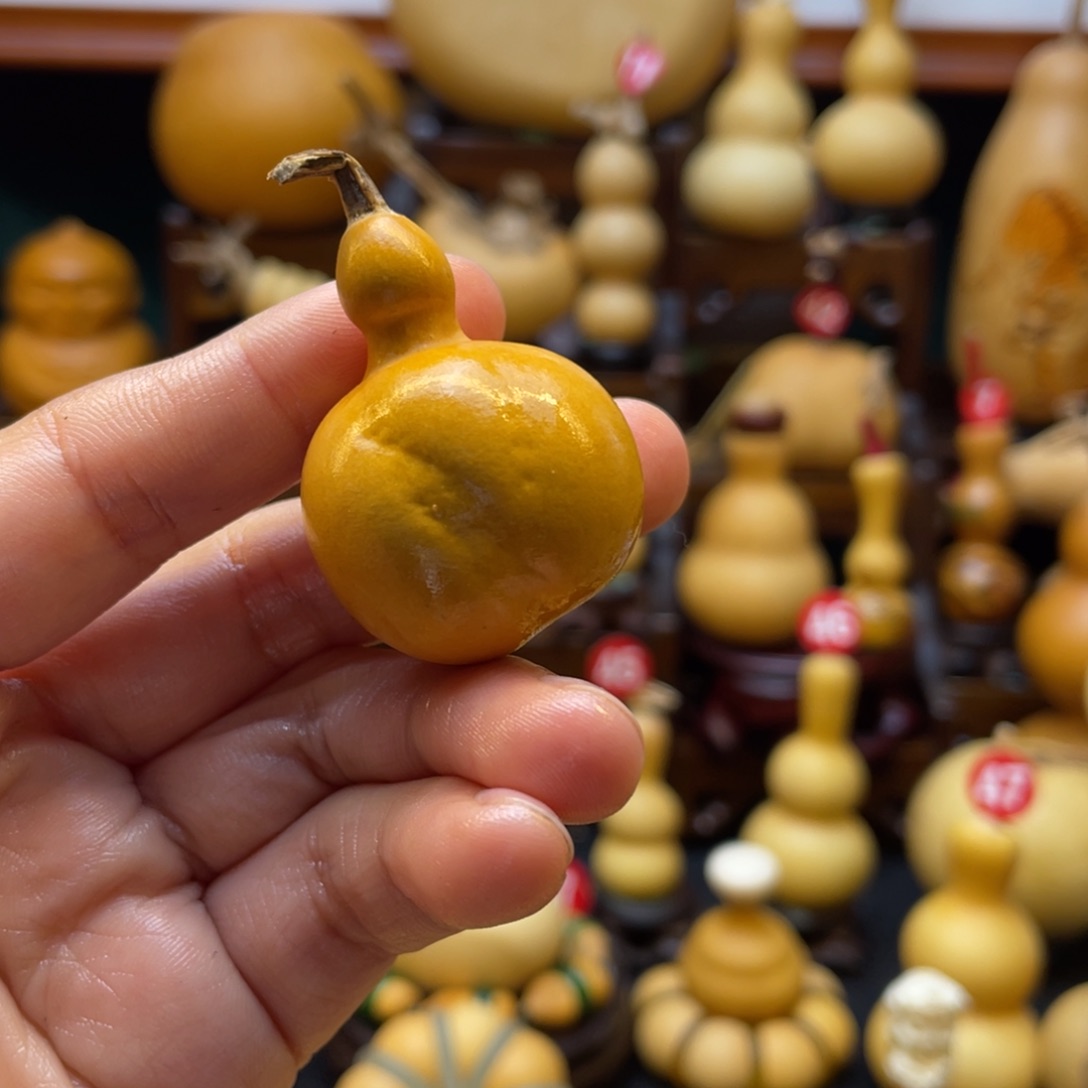 乐*李葫芦等多种颜色的花鸟画作品被