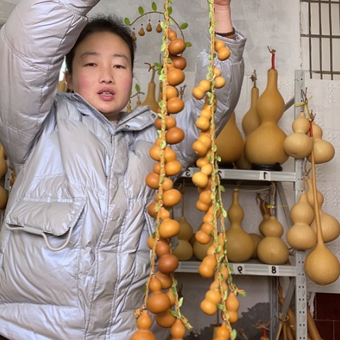 L****姐天然植物葫芦文玩