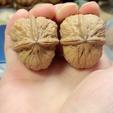 文玩核桃把件鼻烟壶带彩37