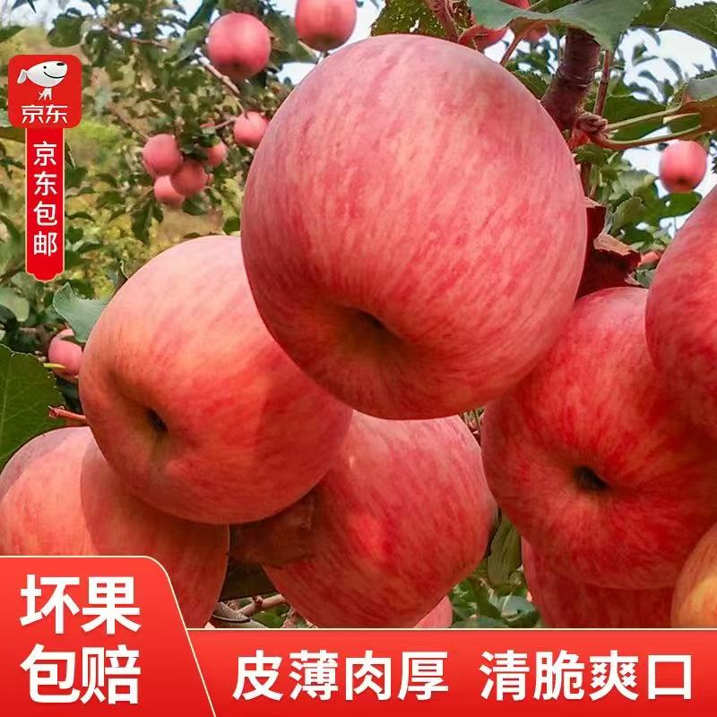烟台红富士苹果脆甜多汁【直供】