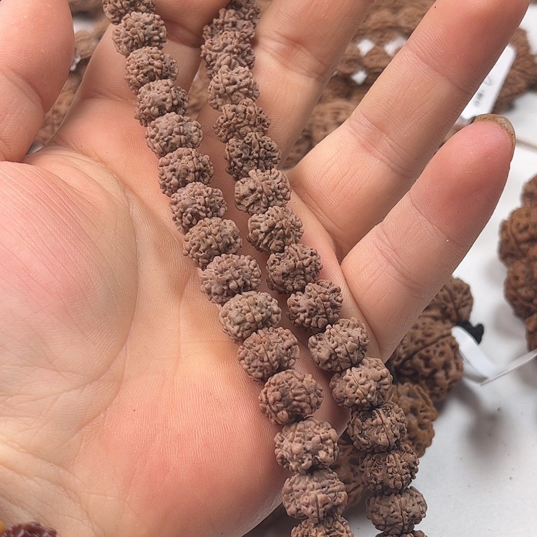 金刚菩提手串12龙骨梅花