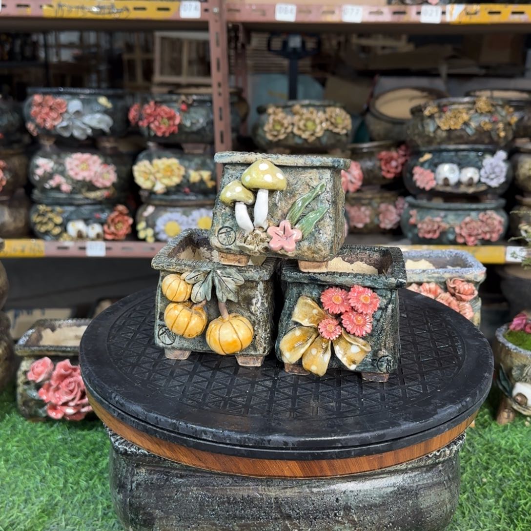 红陶内口6高7左右