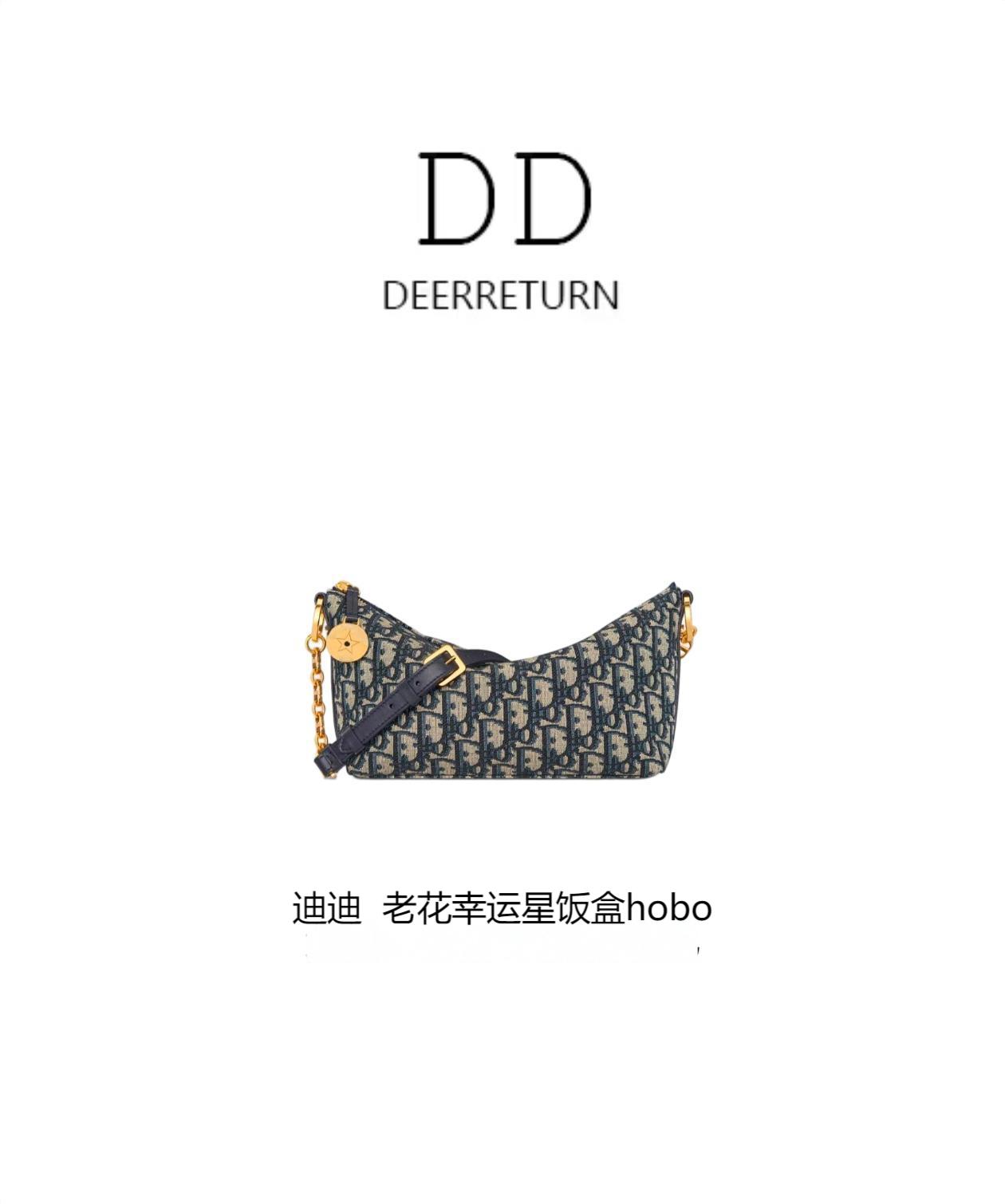 DD【老花幸运星饭盒hobo】25年新款印花饭盒hobo老花小饭盒百搭腋下