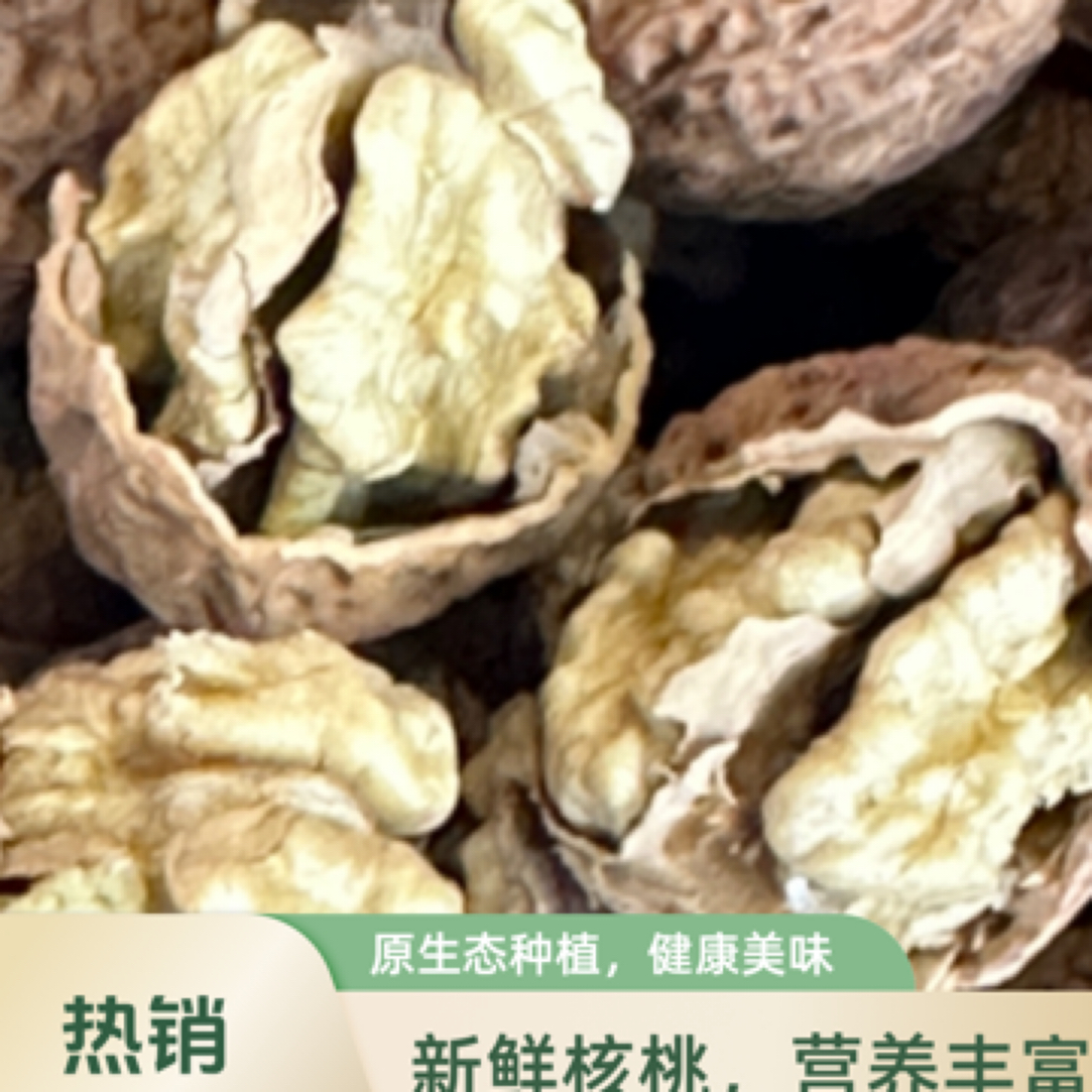赫章老树核桃 果实饱满 即食坚果 低脂健康零食解馋零食