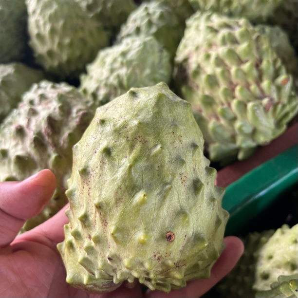 云南　释迦佛头果