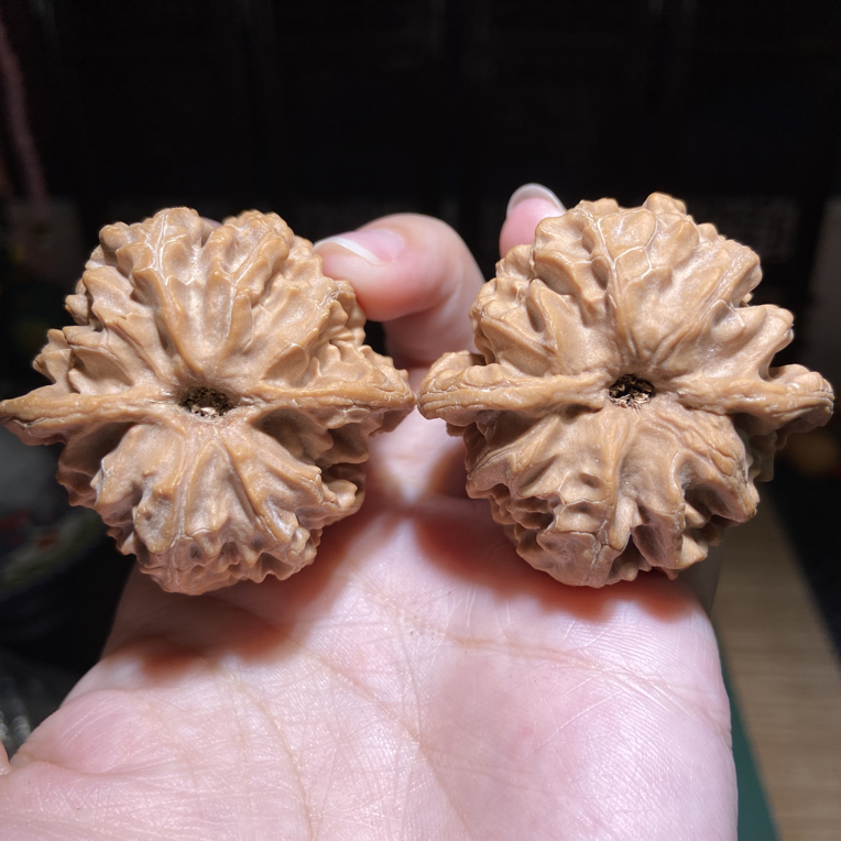 文玩核桃苹果园狮子头手把玩件盘玩核桃 45边44肚41高