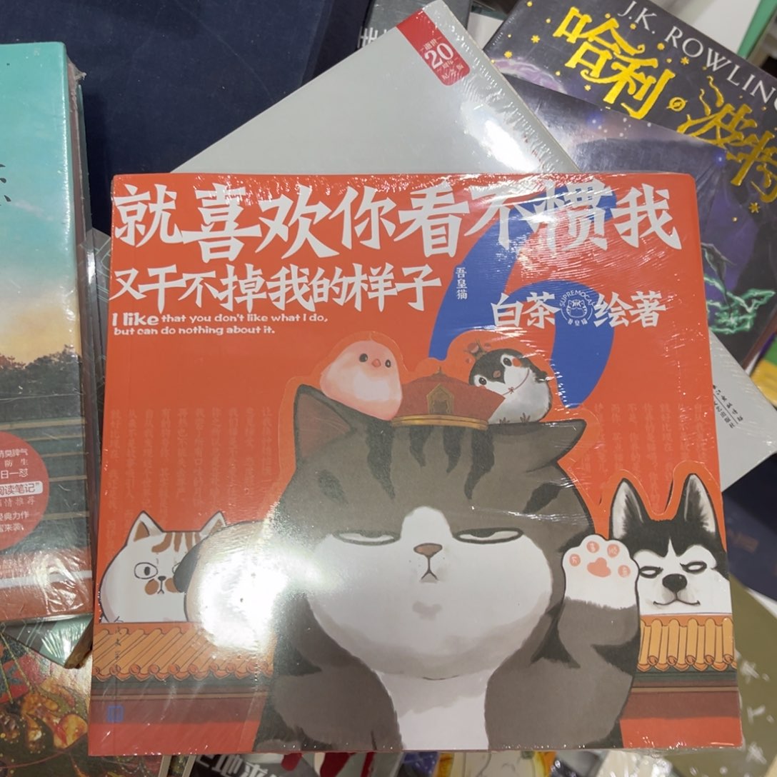 吾皇猫啦啦啦啦啦啦啦