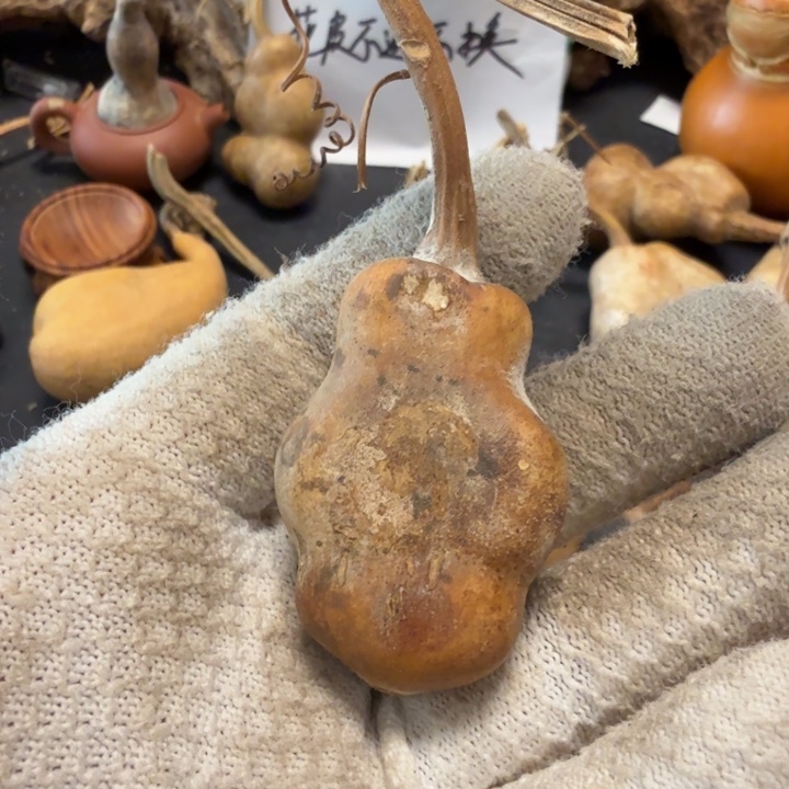 2***c66666666777777788888