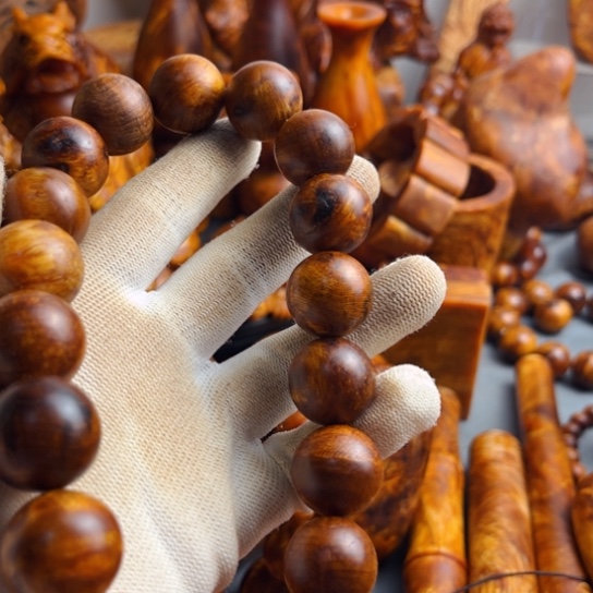 松木（琥珀木）其他