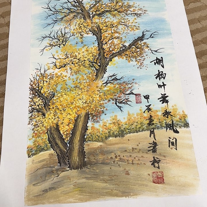 国画花鸟的翅膀是一种很有特色的