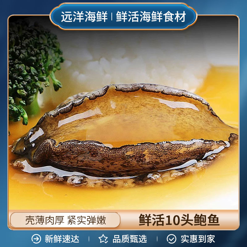 鲜活10头鲍鱼 到手6只