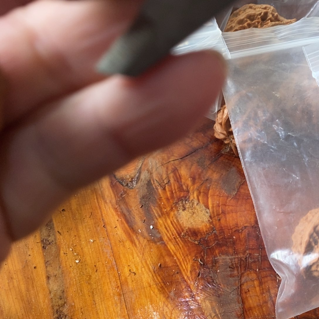 秦岭南侧和东北的山门