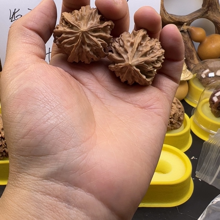 渣***男核桃全品三楞34尺