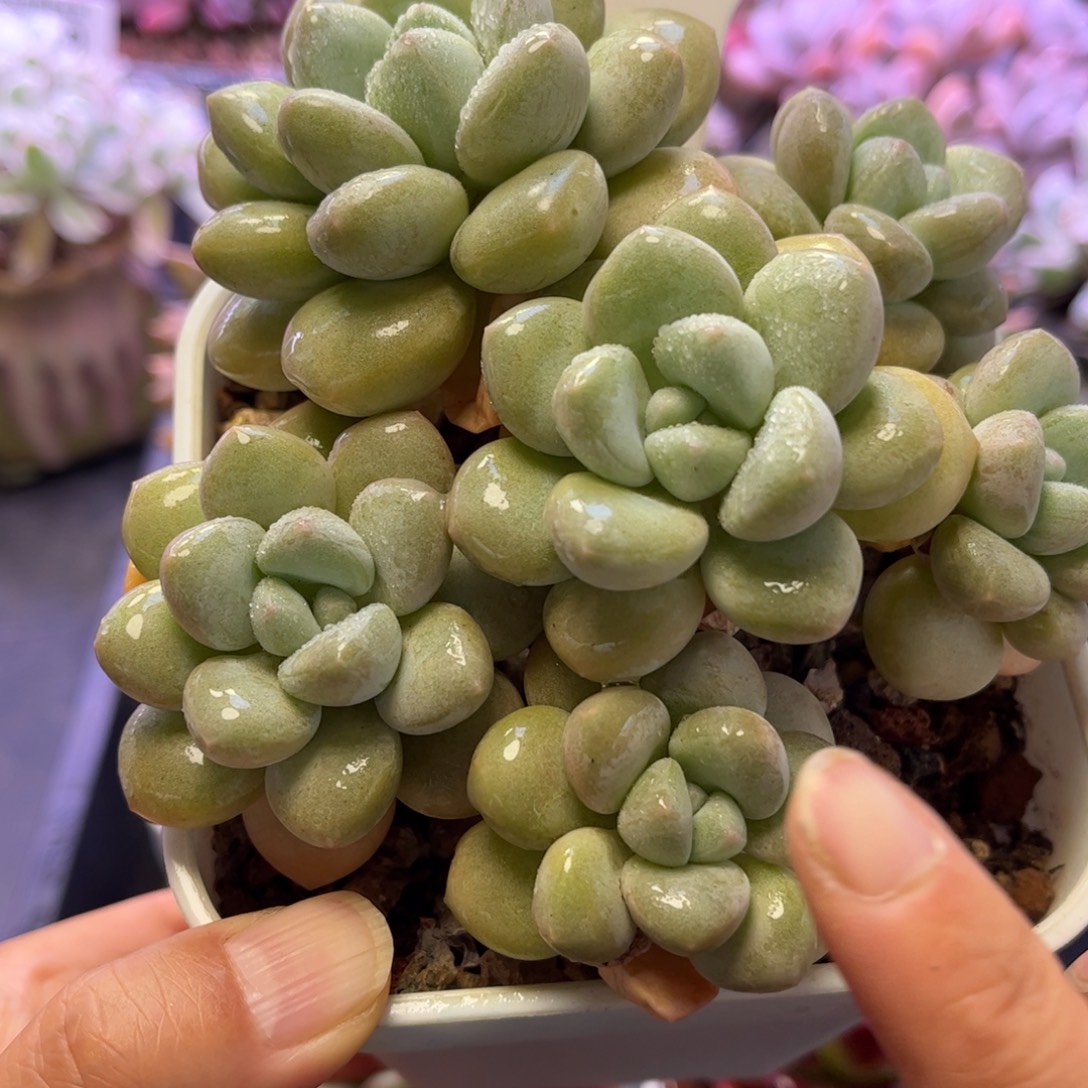 2369 满30包邮天冷地区必拍保温箱