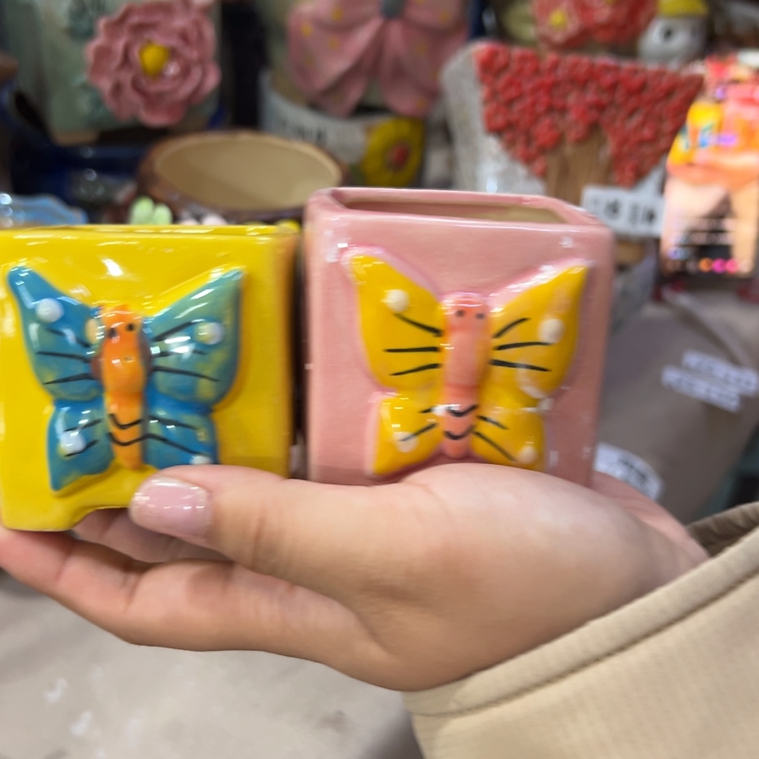 花盆，拍满20发货，退款拉黑