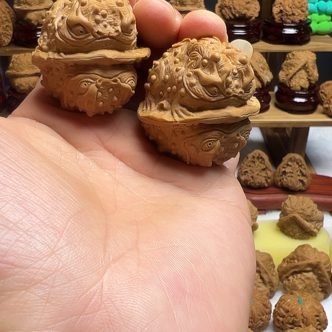 核桃蛤蟆掉了龙蝉