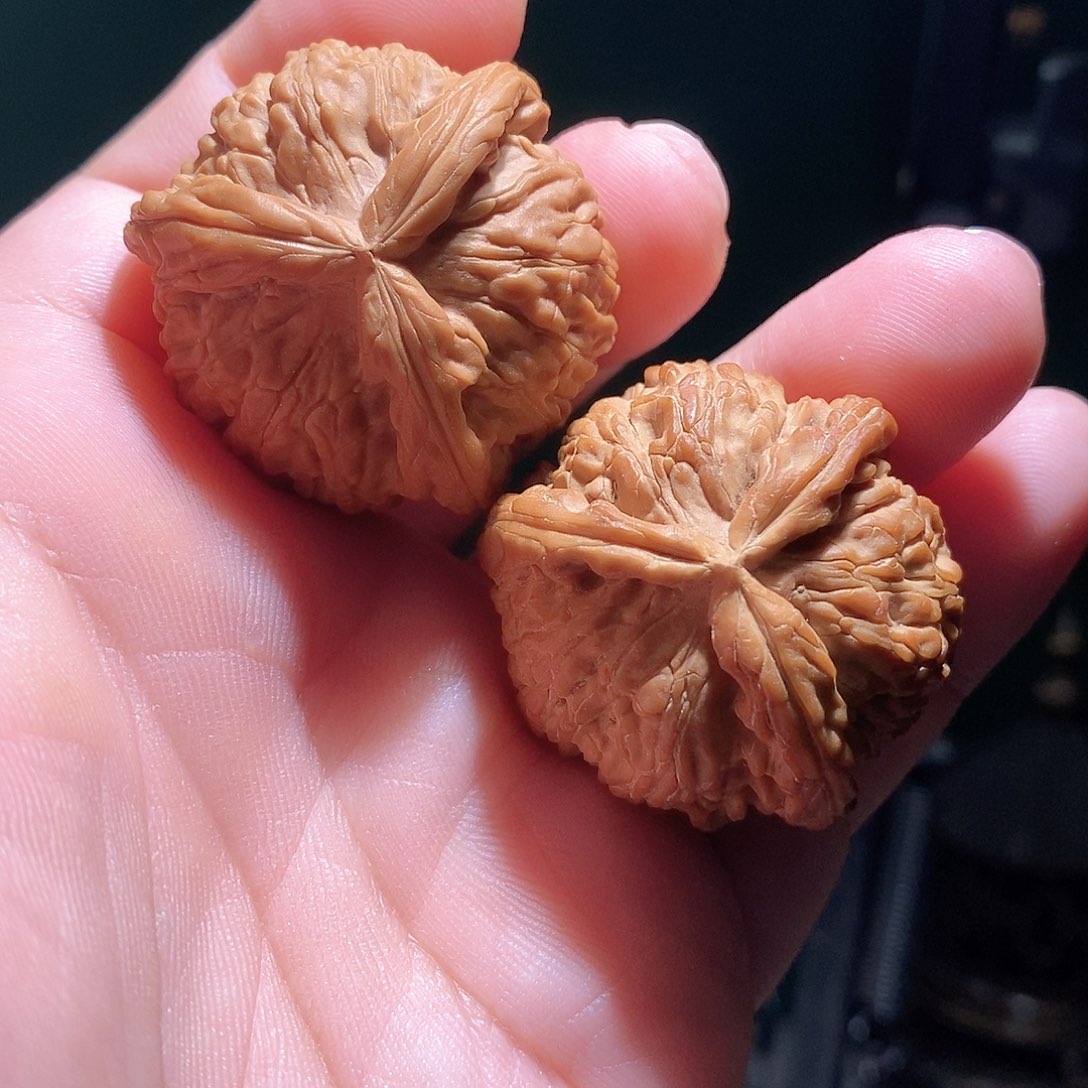 把件文玩核桃37白奔