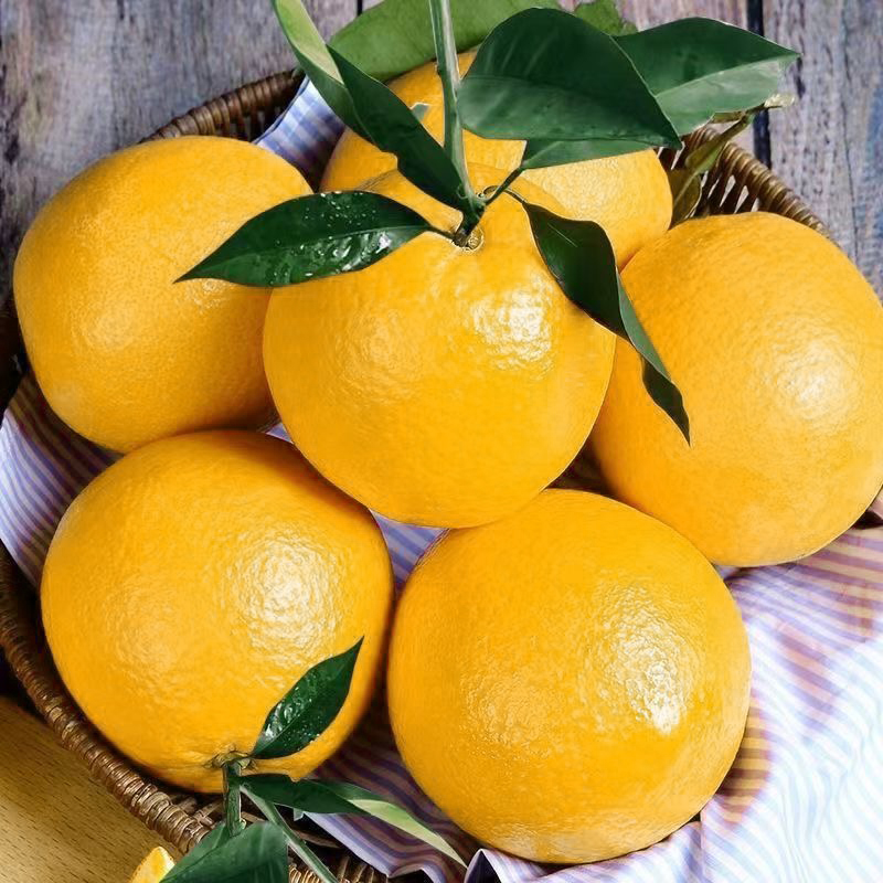 赣南脐橙正宗江西赣南脐橙新鲜当季水果赣州产地直发手剥甜橙