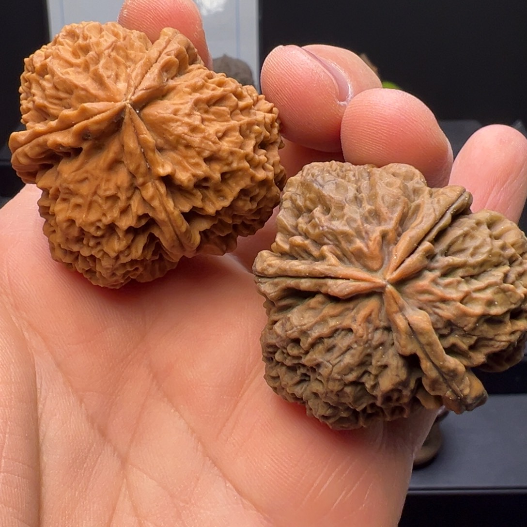 文玩核桃吊坠西南大刺三棱42.5mm