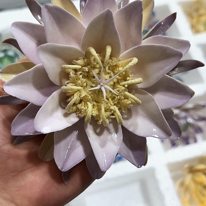 微瑕福利，不退不换，退换拉黑