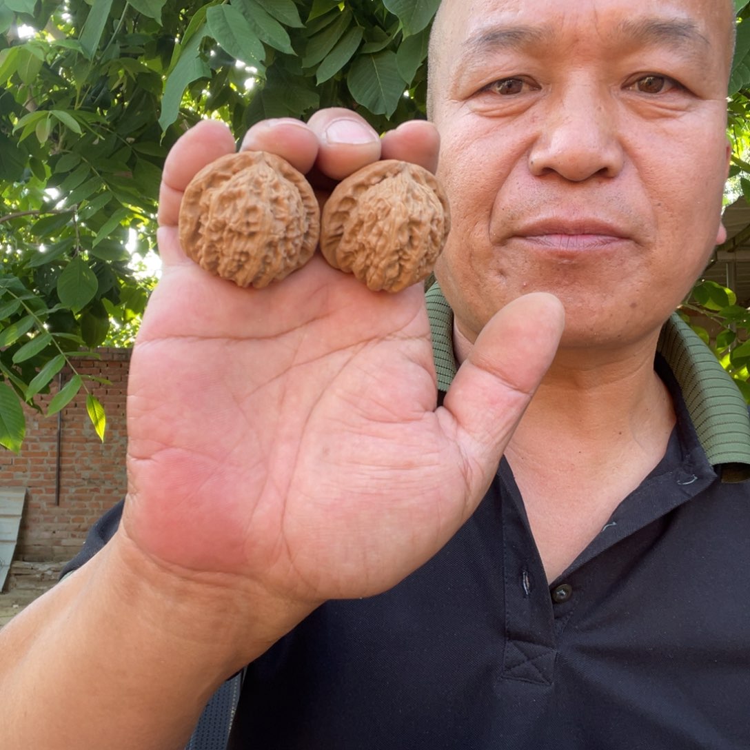 文玩核桃吊坠白狮子39