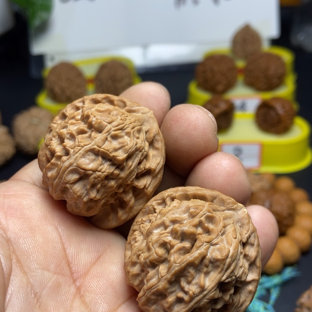 文玩核桃把件白狮子1