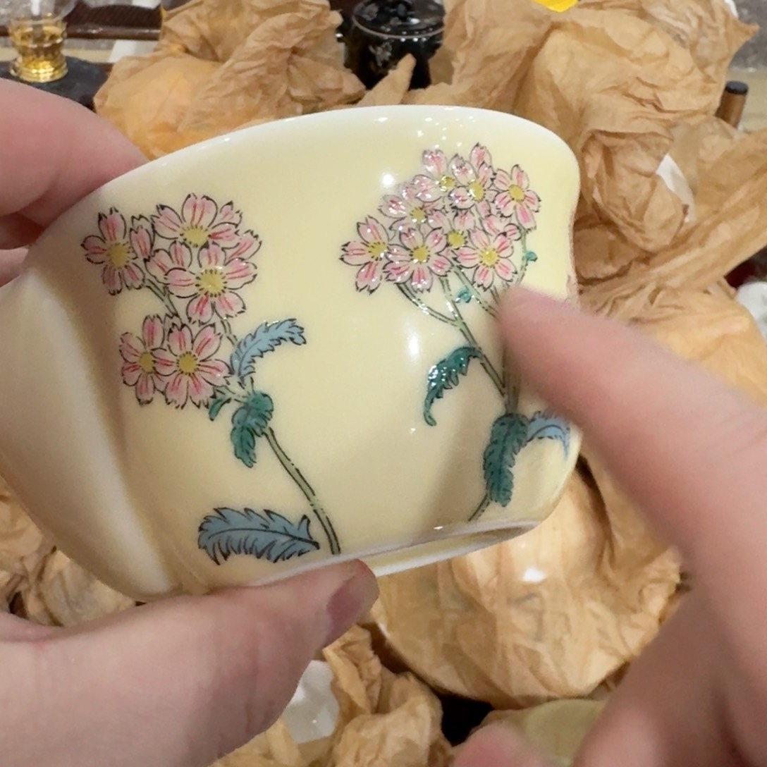 杯你好漂亮528535588541