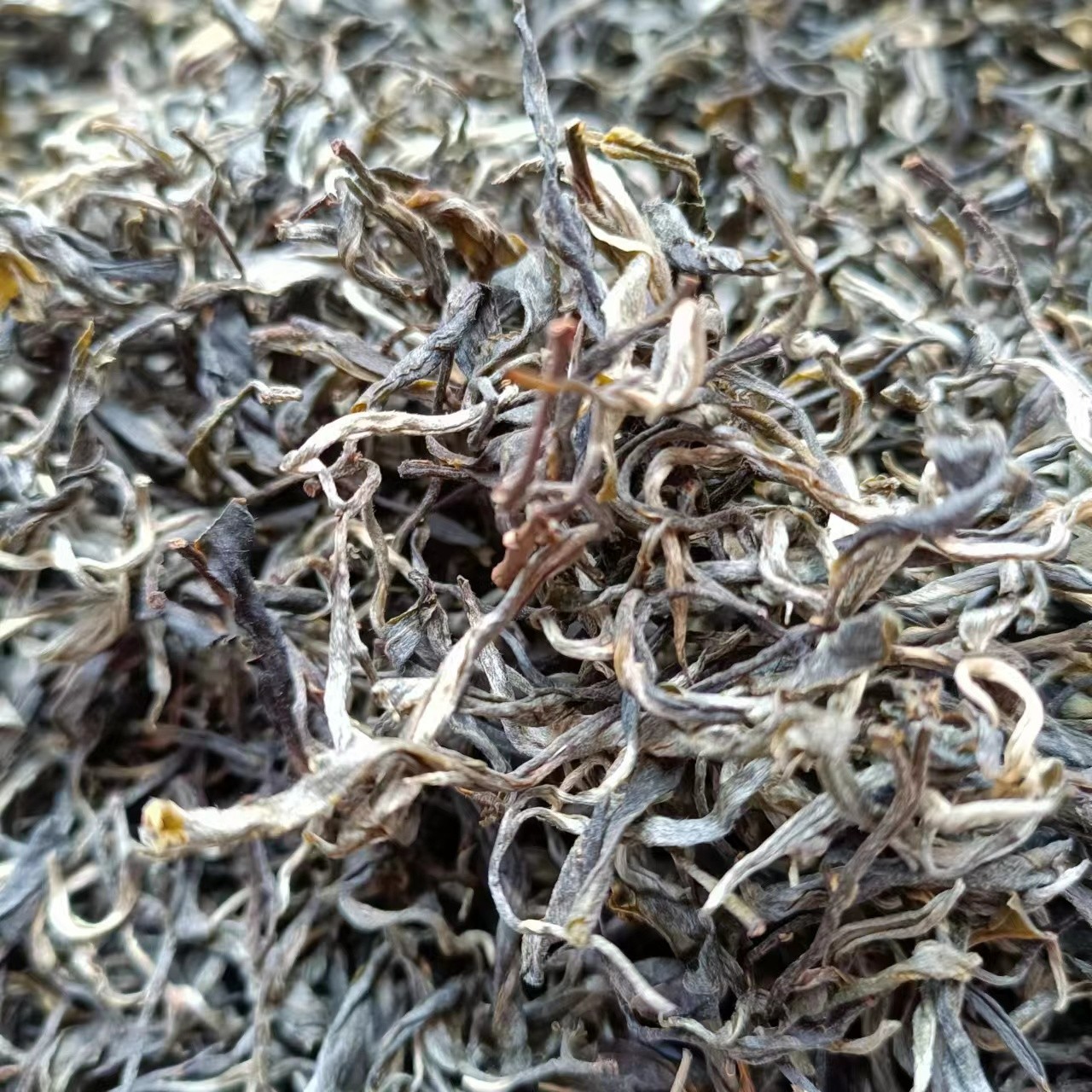 高黎贡山 2021年头春古树晒青散茶 500克盒装茶叶