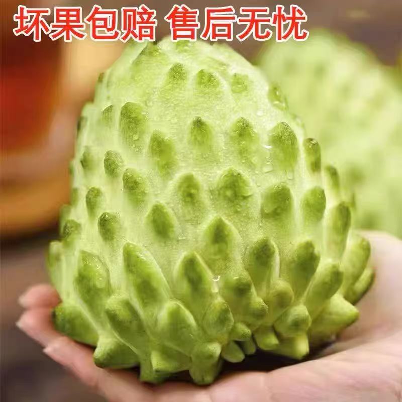 大目释迦果5斤大果新鲜农产品 现摘番荔枝牛奶释迦摩尼果