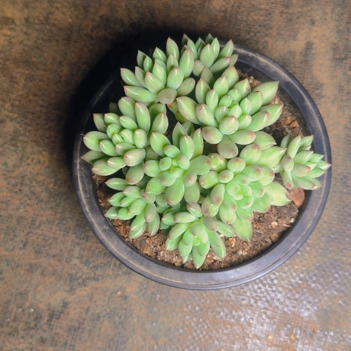 岩子福利1111111111