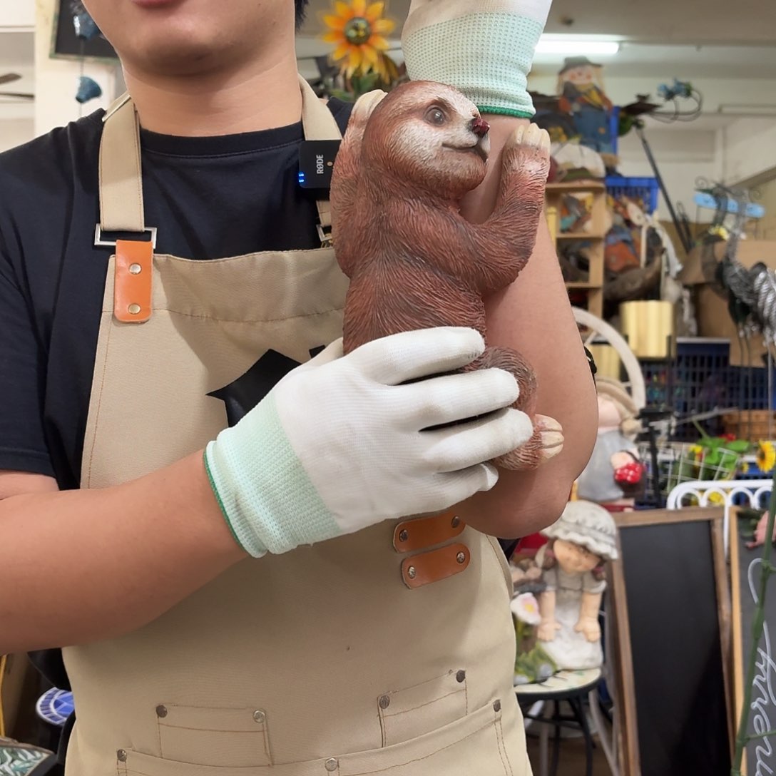 核桃木/黑胡桃（胡桃木）