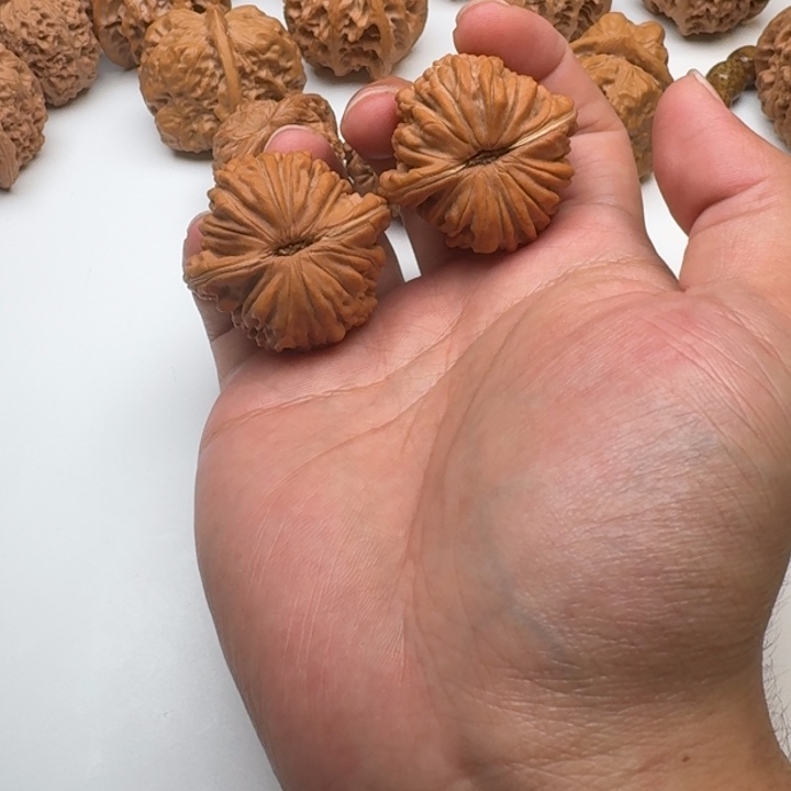 苏***楠木质类楼子福利s级