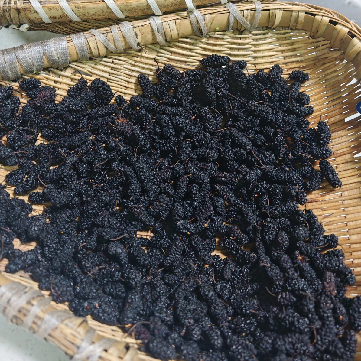 养护推荐- -桑葚干