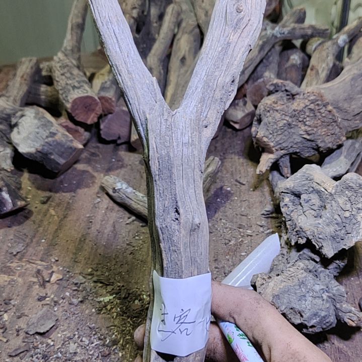 过***客火琉璃原杈不保沉水慎拍！