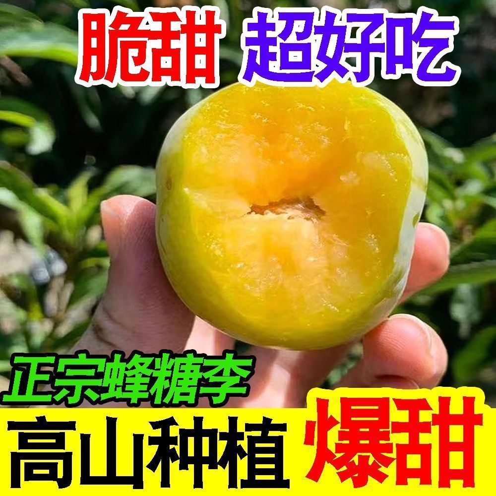 正宗蜂糖李脱骨冰糖李李新鲜树熟脆甜多汁当季水果现摘现发脆甜