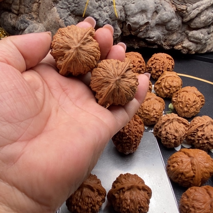 全品无修41正磨盘