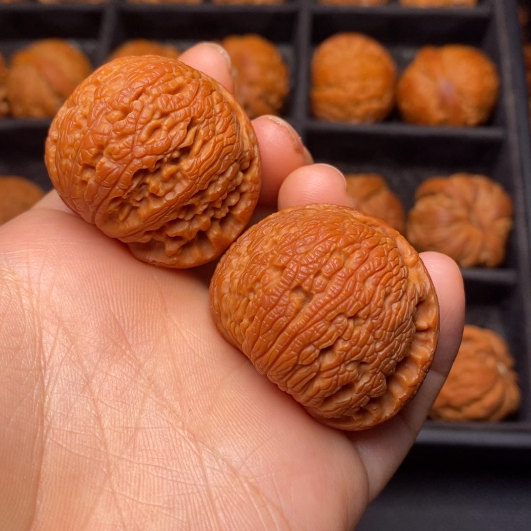 文玩核桃把件秦岭野生核桃