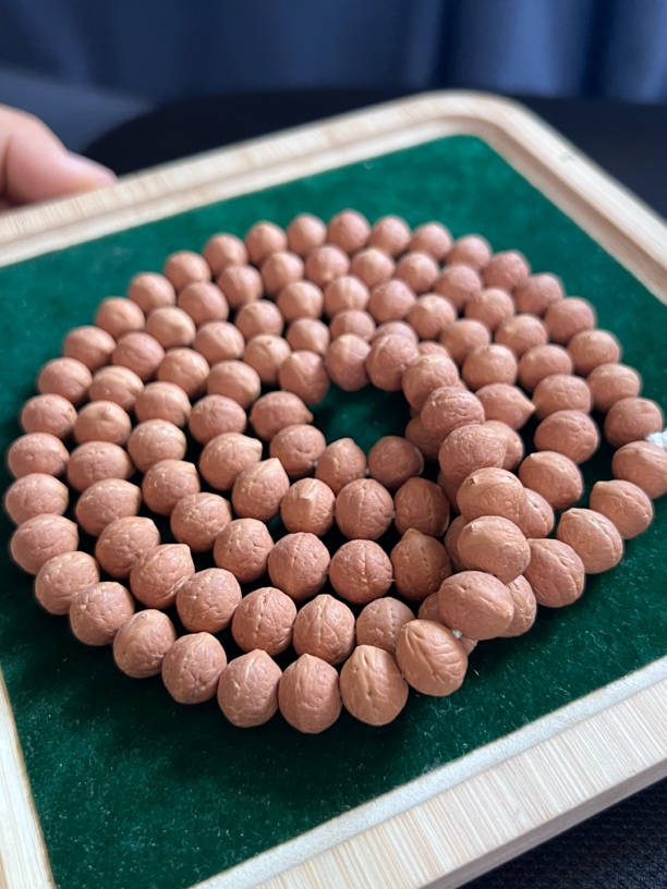 25年凤眼新籽，10-10.3实心籽飞碟108，红皮高油高密，油性十足