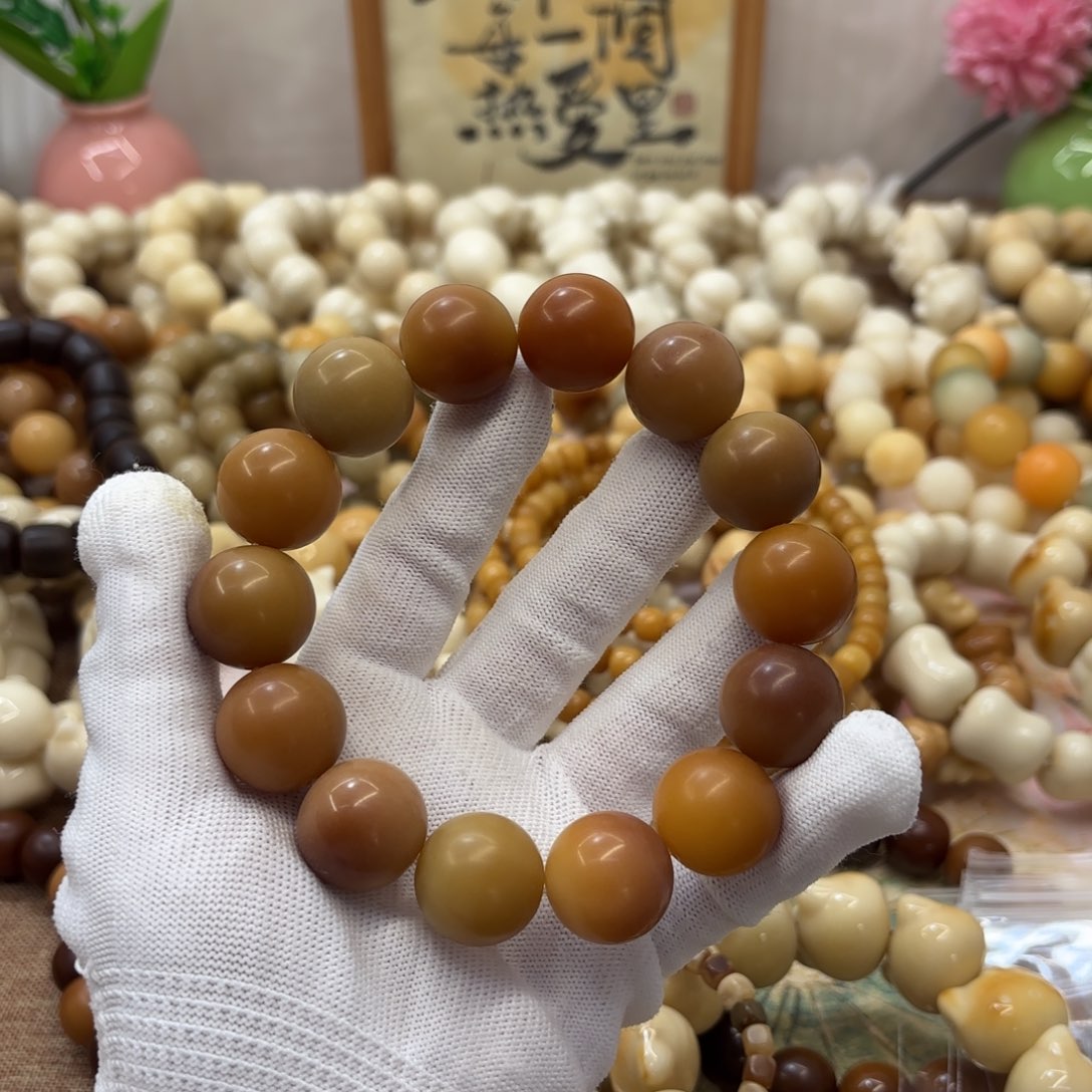 菩提根/象牙果吊坠20干磨瑕疵落地果181