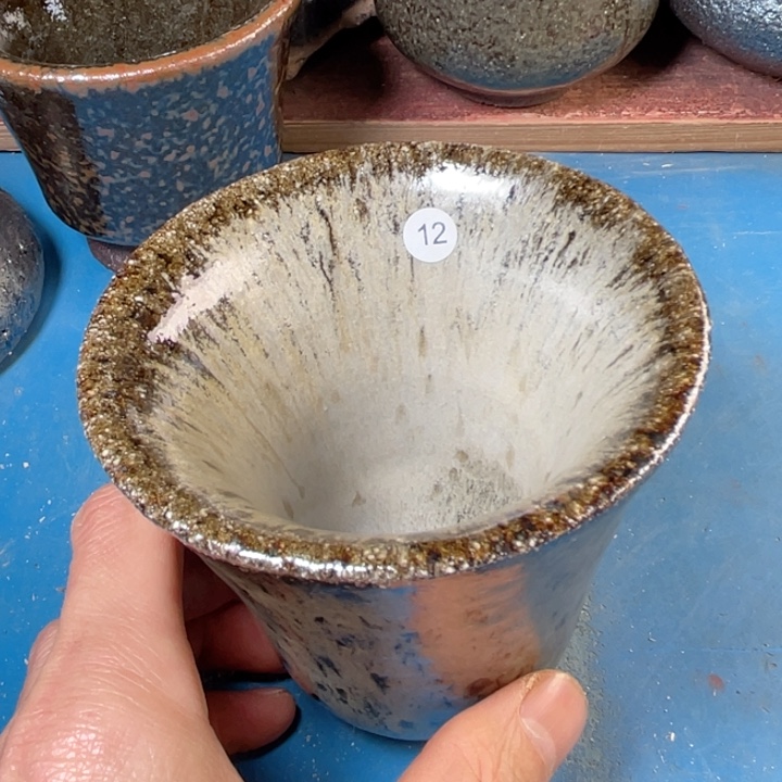 茶盏盏盏灯都是我的爱呀我