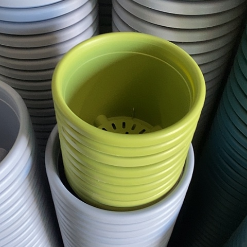 树脂四季1号果绿无托10个